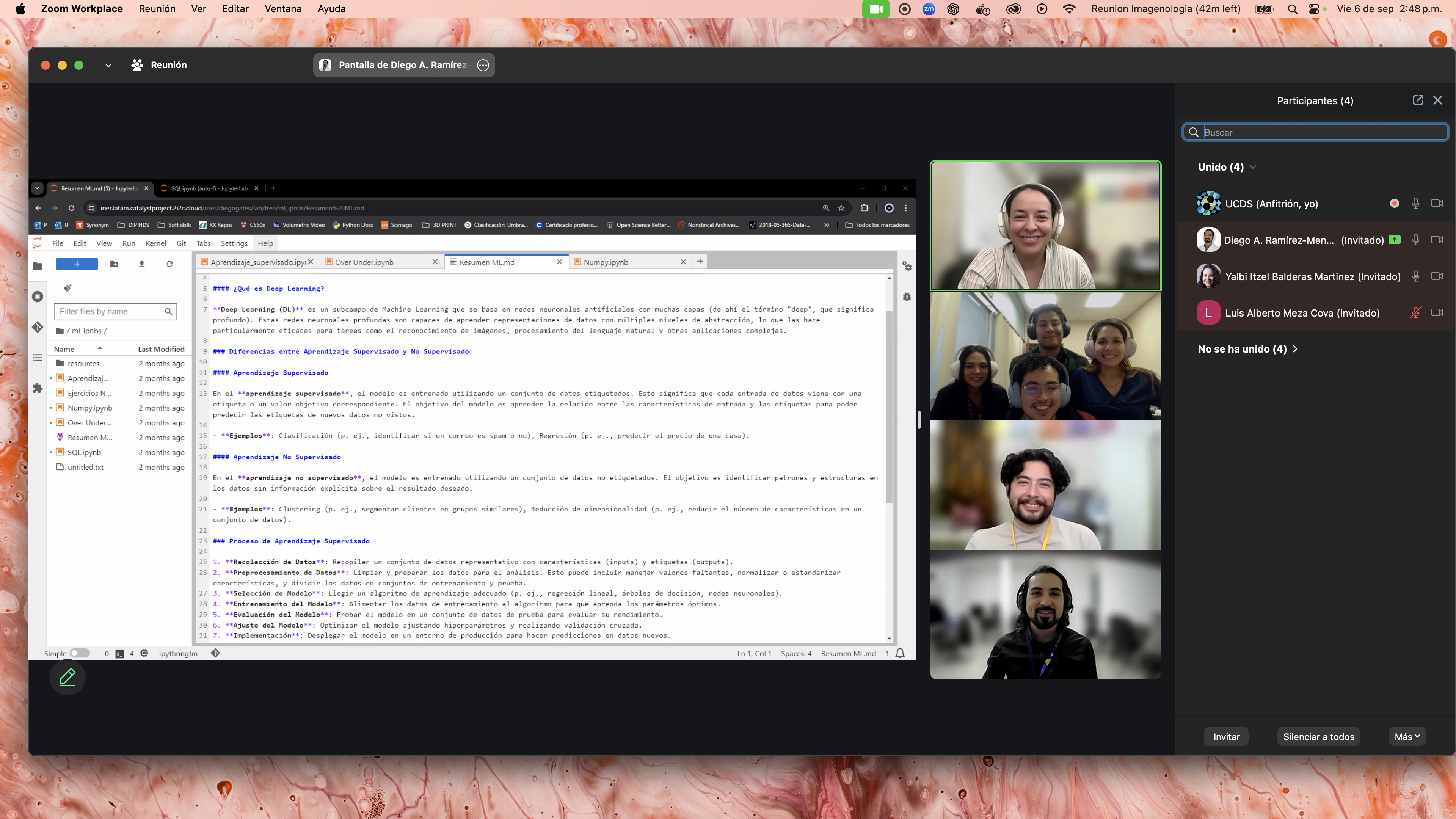 A screenshot of a Zoom meeting with the INER team.